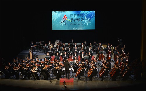 1703063395306448.jpg 50.jpg