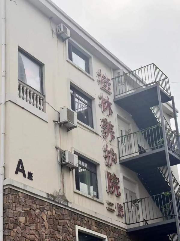 1703842881210608.jpg 24.jpg